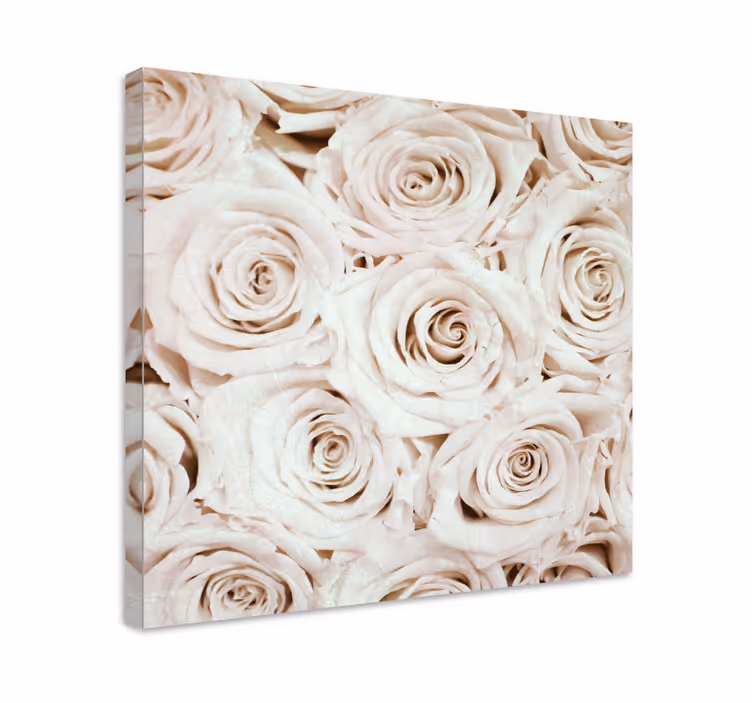 Tableau fleurs Design élégant de fleur de rose blanche - TenStickers