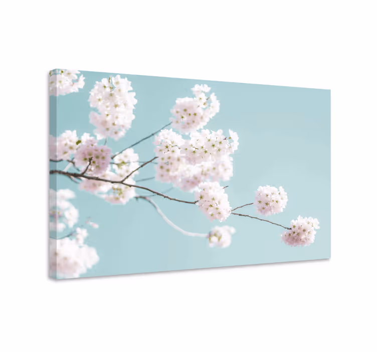 Tableau fleurs Fleur blanche élégante et féminine - TenStickers