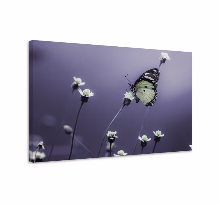 Tableau papillon Conception élégante de fleur de papillon - TenStickers