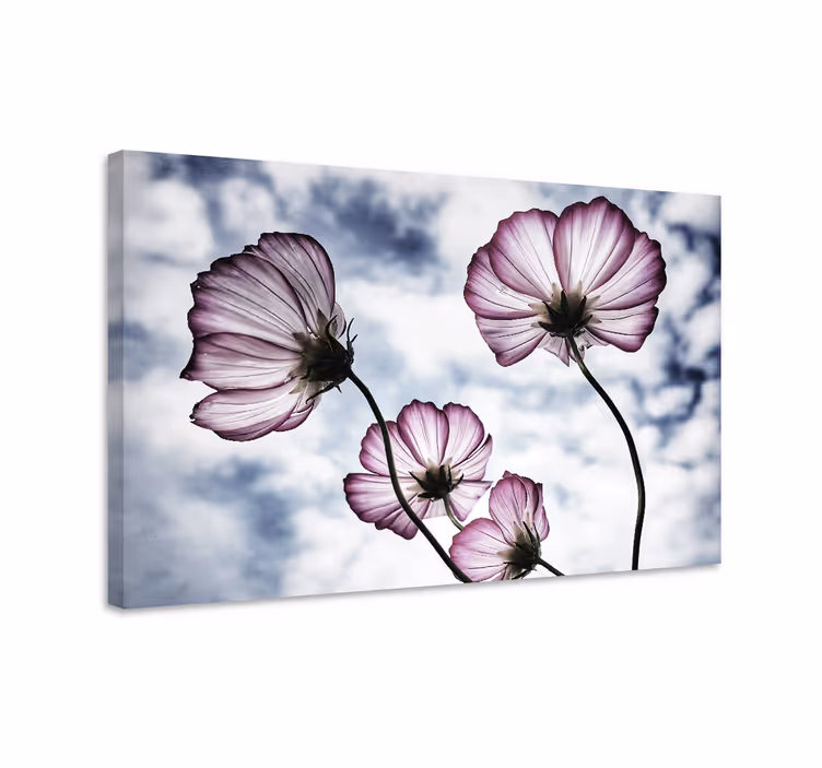 Tableau fleurs Design élégant de fleur de cosmos violet - TenStickers