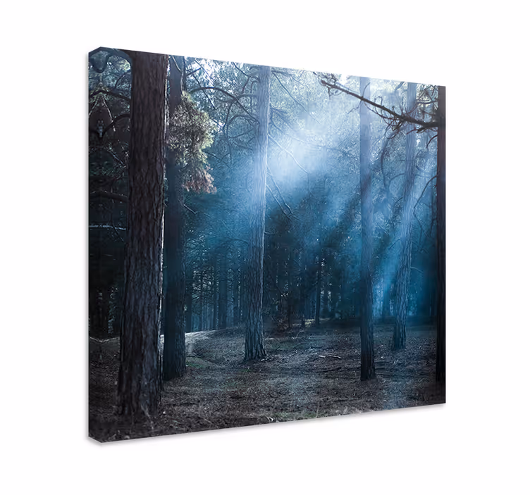Tableau paysages sentier boisé brumeux - TenStickers