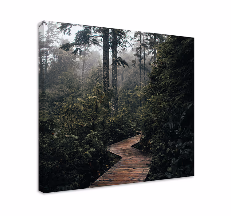 Tableau paysages sentier forestier tranquille - TenStickers