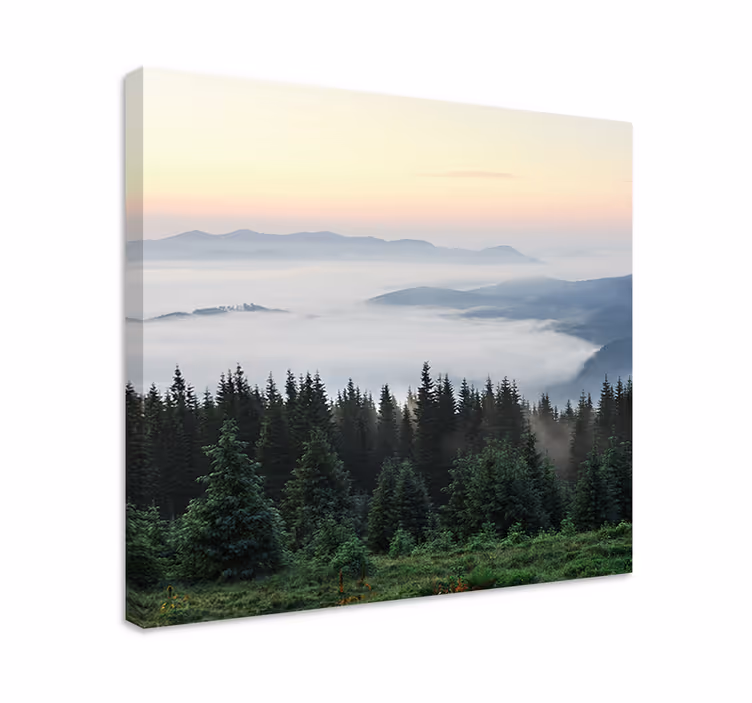 Tableau paysage Forêt "nature" avec vue soleil - TenStickers
