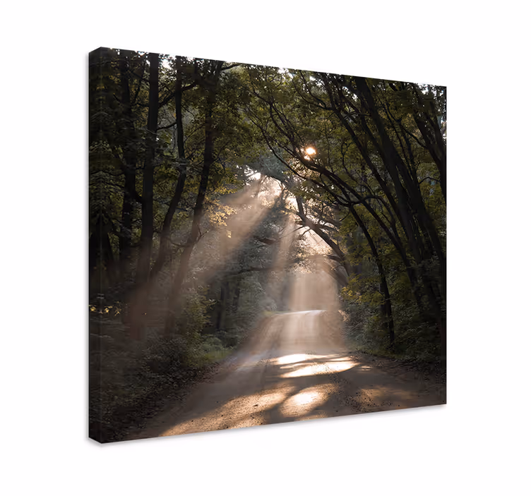 Tableau arbre de vie Chemin de terre "nature" dans la forêt - TenStickers