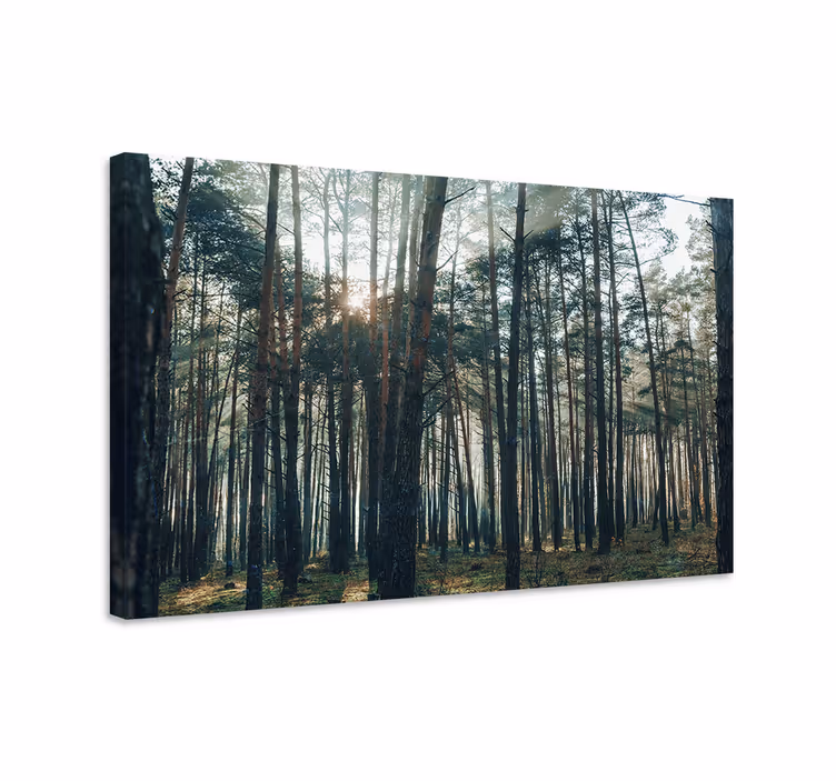 Tableau arbres Éclat de la forêt majestueuse - TenStickers