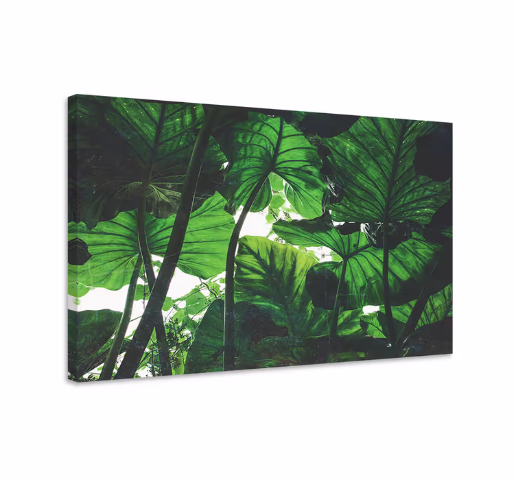 Tableau paysage Beau design de forêt tropicale verte - TenStickers