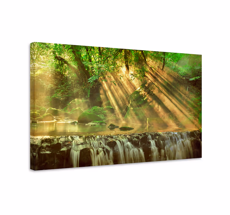Tableau paysages ruisseau en forêt ensoleillée - TenStickers