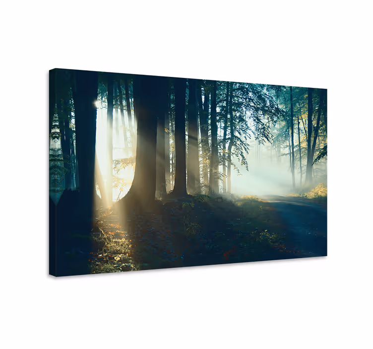Tableau paysage Belle forêt d'hiver moderne - TenStickers