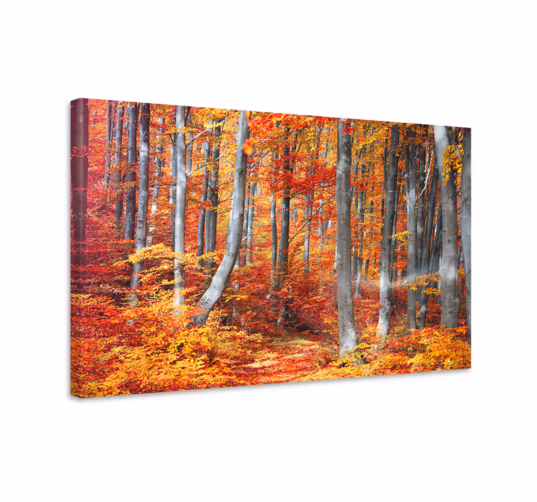 Tableau paysage Vieille forêt rouge colorée - TenStickers