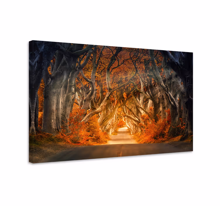 Tableau paysages chemin d'automne mystérieux - TenStickers
