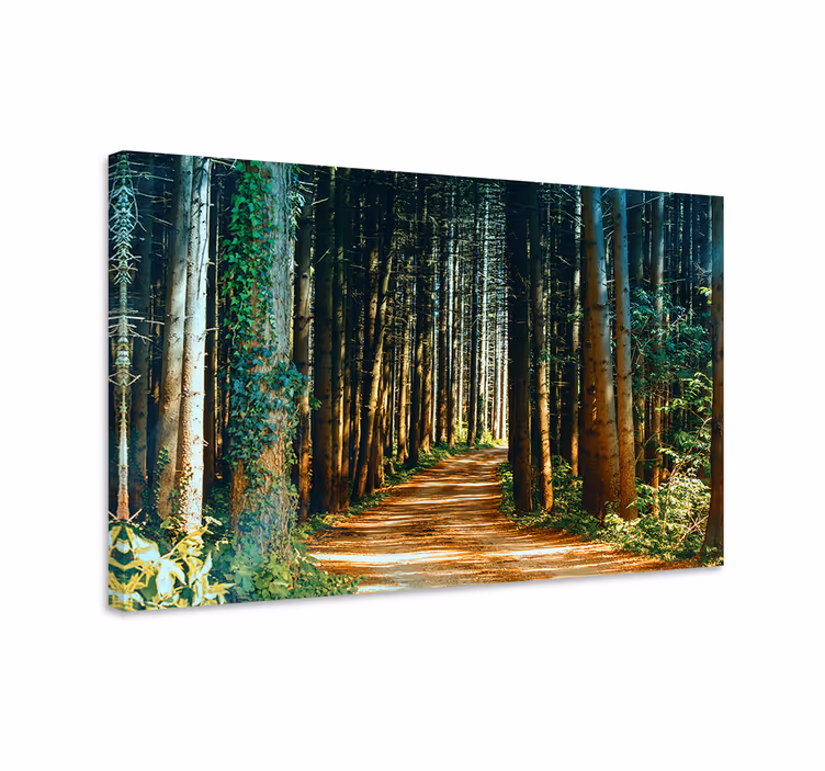 Tableau paysage Belle porte d'arbre de chemin de nature - TenStickers
