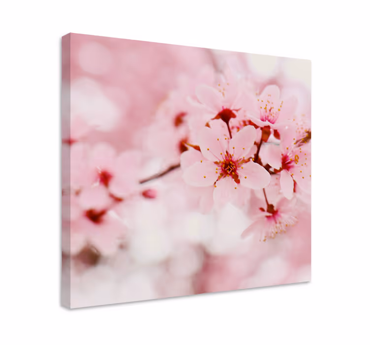 Tableau fleurs Art de la photographie fleur rose - TenStickers