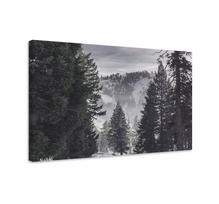 Tableau paysage Forêt verte de montagne - TenStickers