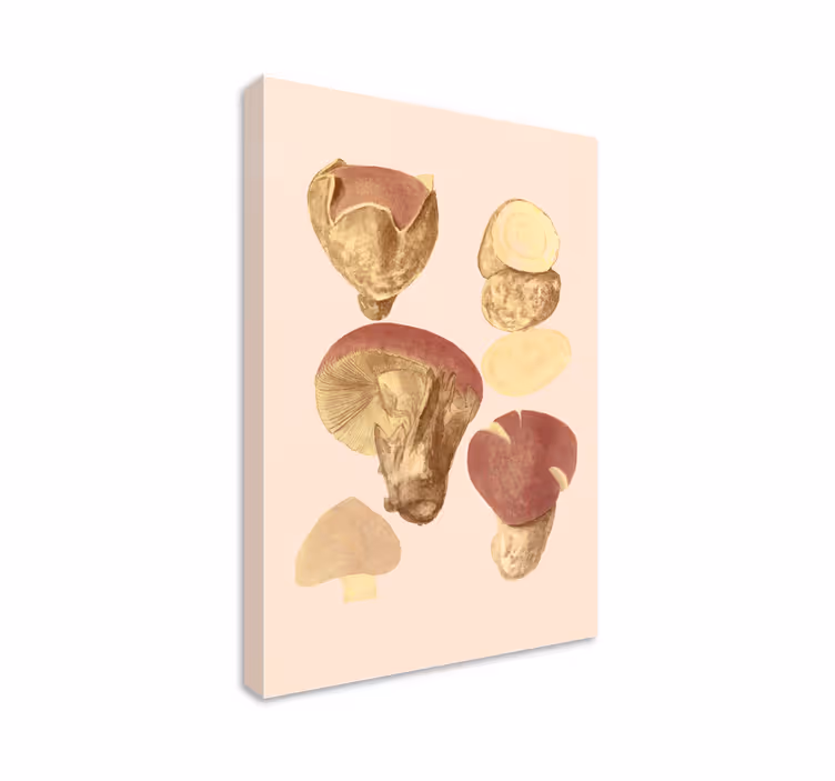 Tableau fleurs et plantes collection de champignons - TenStickers