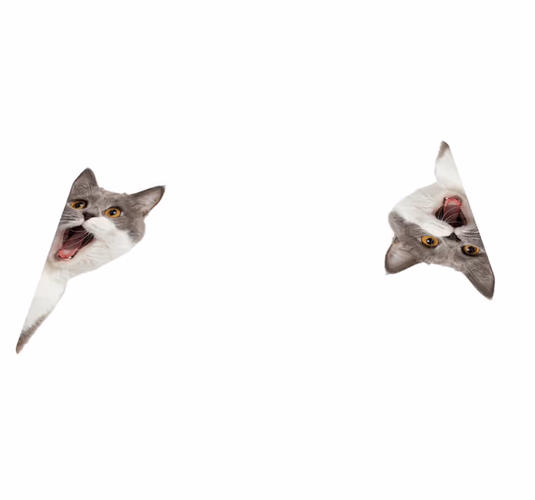 Tapis vinyle animal chat espionnant sur fond blanc - TenStickers