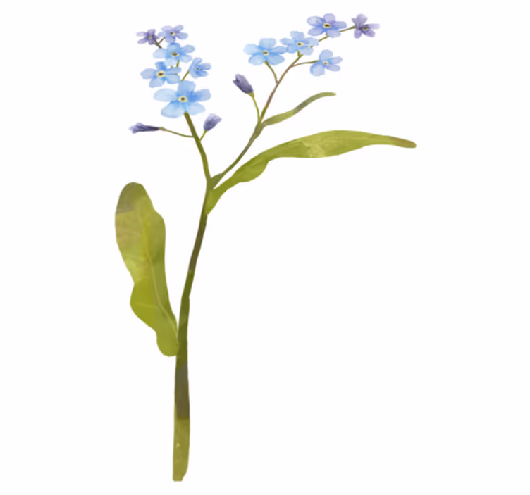 Tapis vinyle fleurs et plantes plante bleue gracieuse - TenStickers