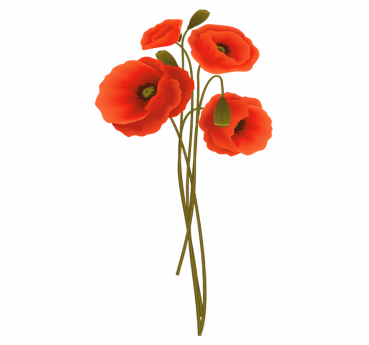 Tapis vinyle salle de bain coquelicots délicats - TenStickers
