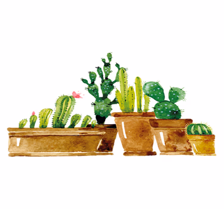 Tapis vinyle fleurs et plantes jardin de cactus maison - TenStickers