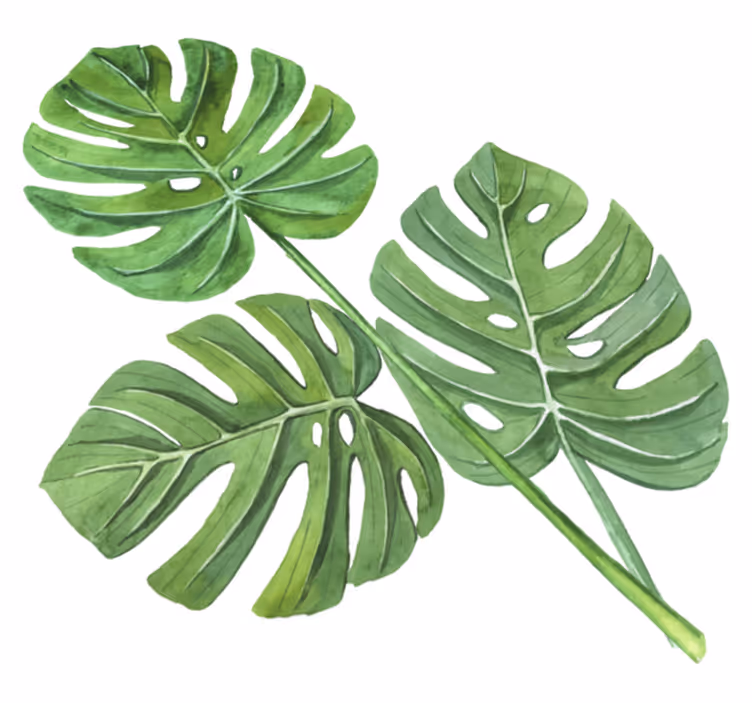Tapis vinyle fleurs et plantes feuilles monstera aquarelle - TenStickers