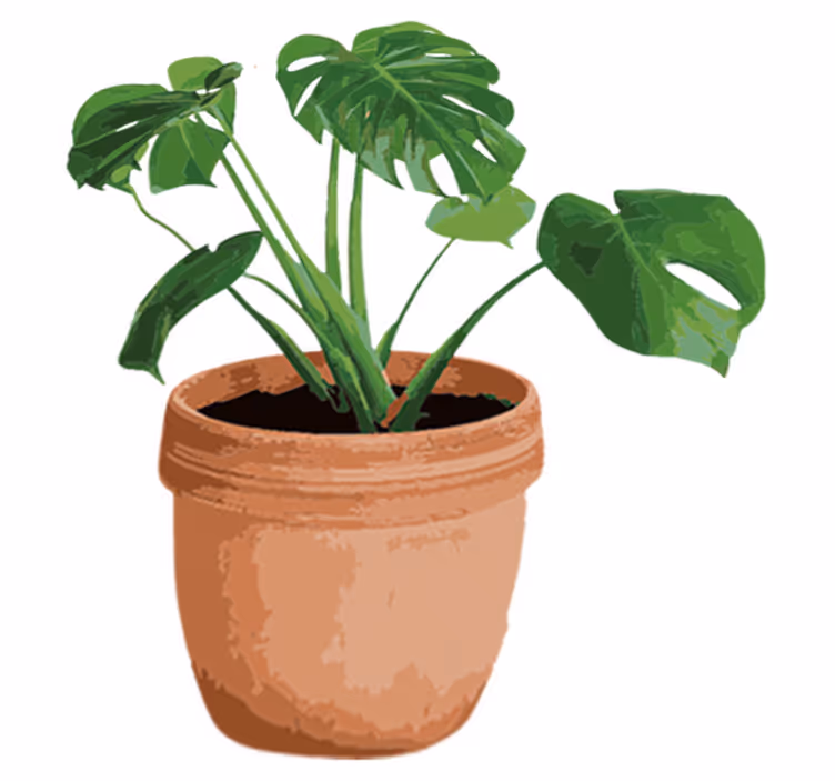 Tapis vinyle fleurs et plantes pot simple monstera - TenStickers