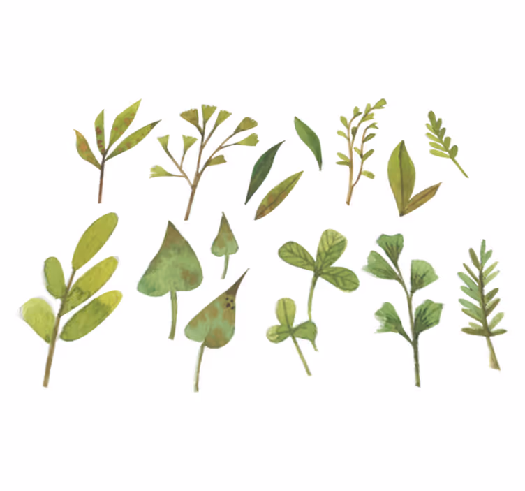 Tapis vinyle fleurs et plantes feuilles aquarelle - TenStickers