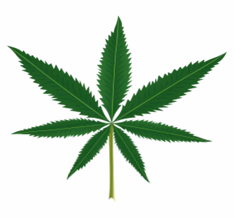 Tapis vinyle fleurs et plantes feuille de marijuana - TenStickers