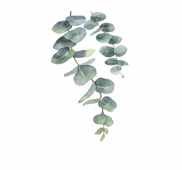 Tapis vinyle fleurs et plantes branches d'eucalyptus - TenStickers