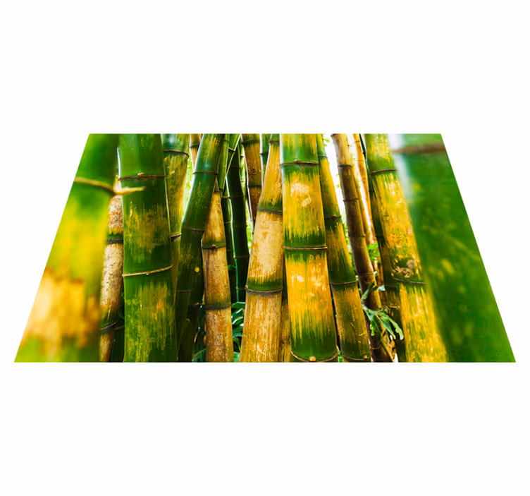 Tapis vinyle vert scène de forêt de bambous - TenStickers