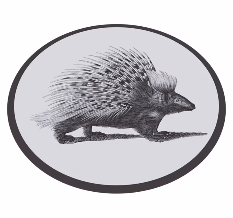 Tapis vinyle Porc-épic noir et blanc - TenStickers