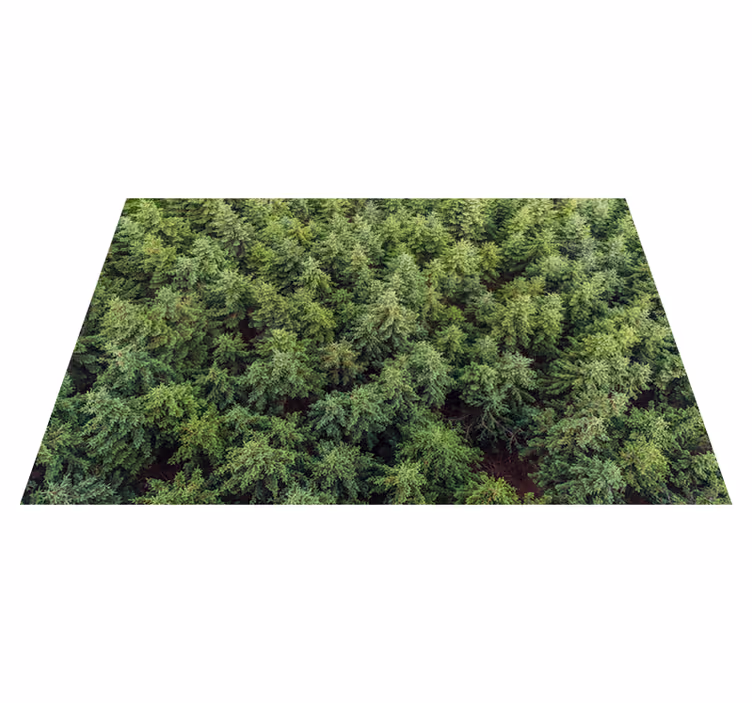 tapis vinyle salon Tapis en vinylee pour salon paysage forêt - TenStickers