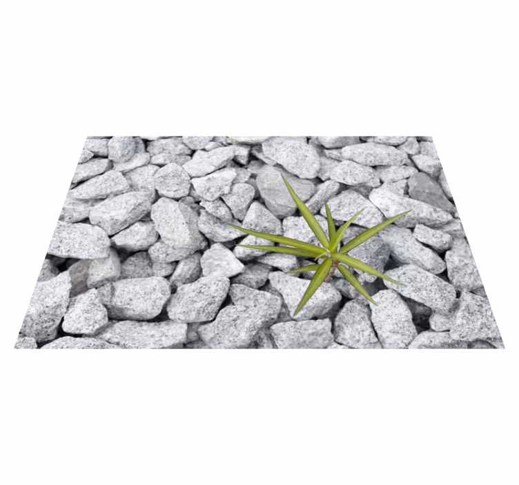 tapis vinyle effet pierre Pierre concassée plante sauvage solitai - TenStickers