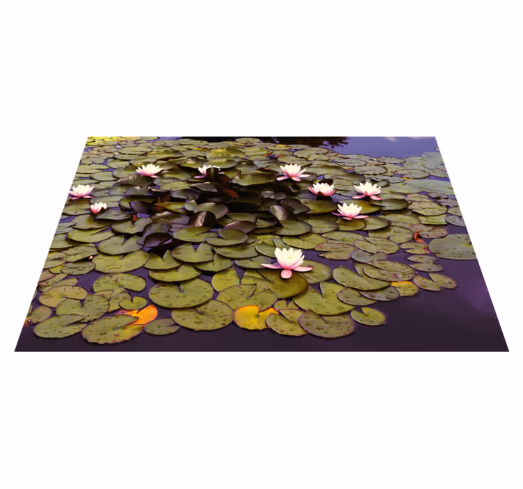 tapis vinyle salon Lotus dans l'étang - TenStickers