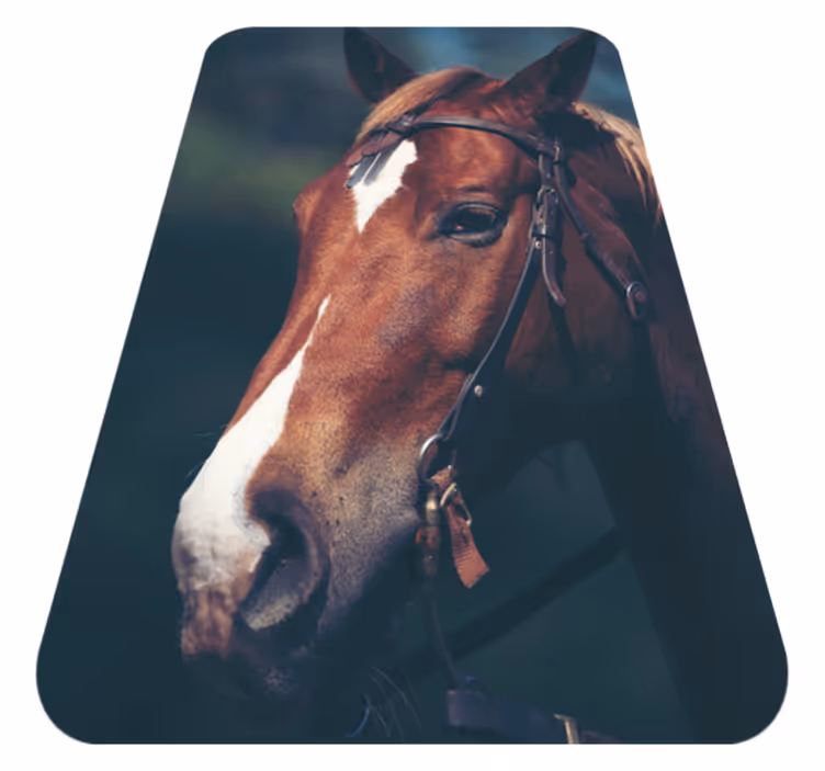 Tapis vinyle animal tête de cheval majestueuse - TenStickers