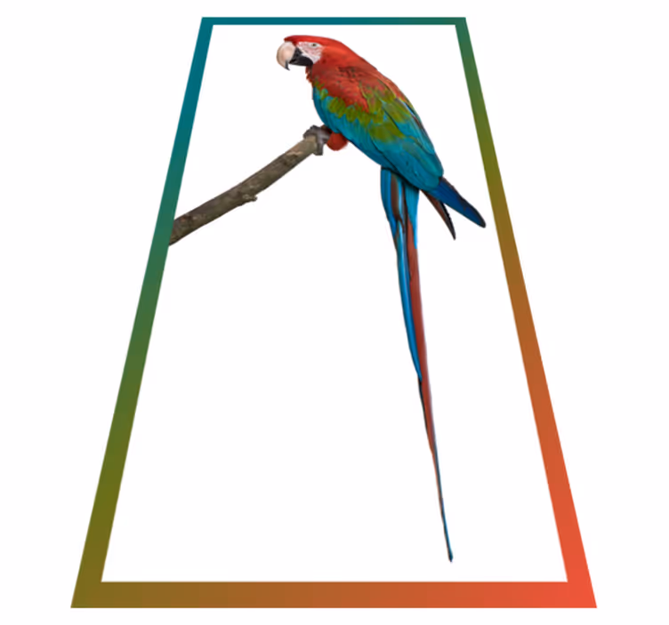 Tapis vinyle animal Profil de perroquet - TenStickers