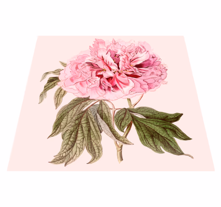 tapis vinyle chambre Pivoine blanche rectangulaire - TenStickers