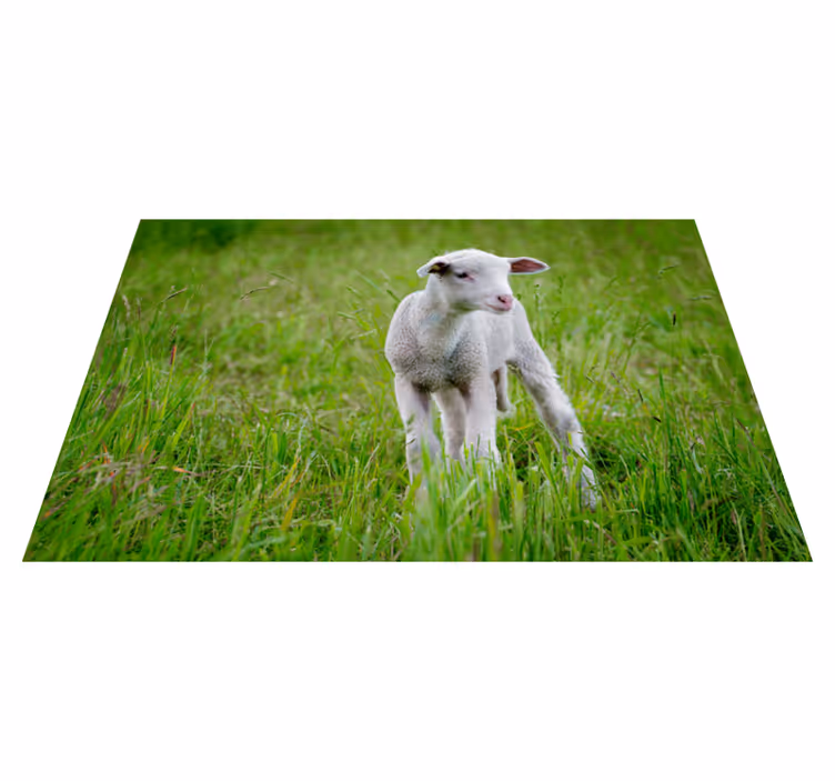 Tapis vinyle animal agneau debout - TenStickers