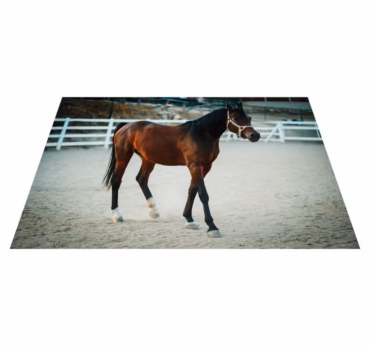 Tapis vinyle animal Cheval brun animal - TenStickers