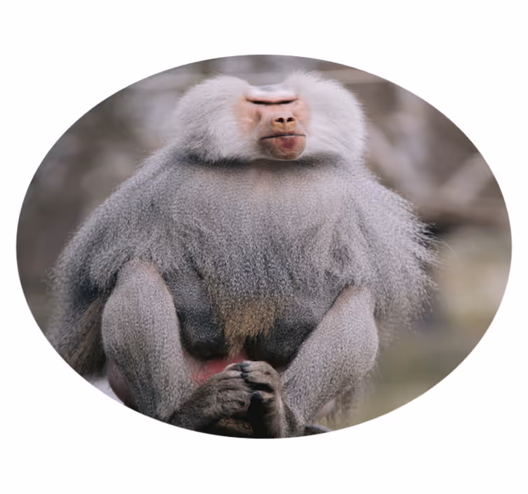 Tapis vinyle animal Singe cool animal - TenStickers