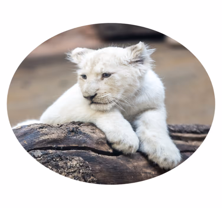 Tapis vinyle animal Animal mignon lionceaux blancs - TenStickers