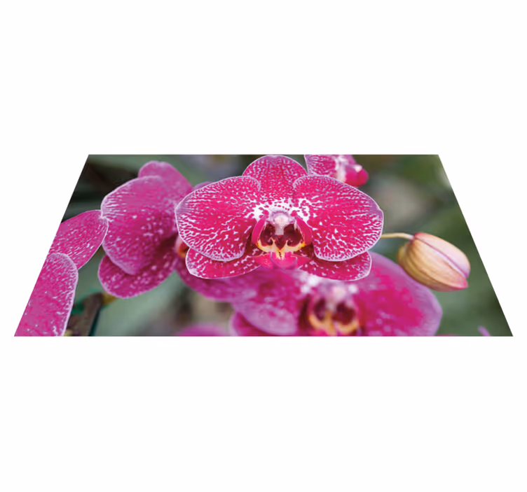 Tapis vinyle fleurs et plantes fleurs d'orchidées éclatantes - TenStickers