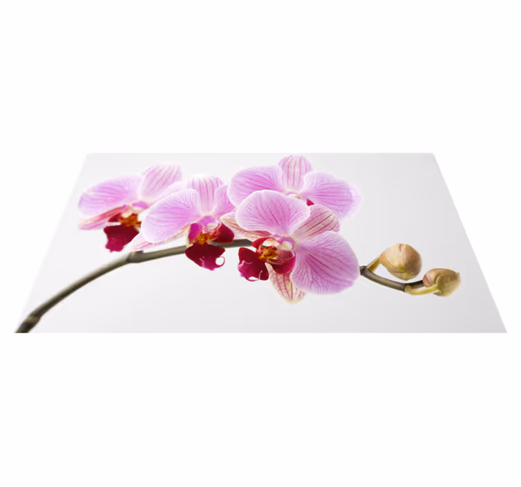tapis vinyle cuisine Un gris orchidée simple - TenStickers