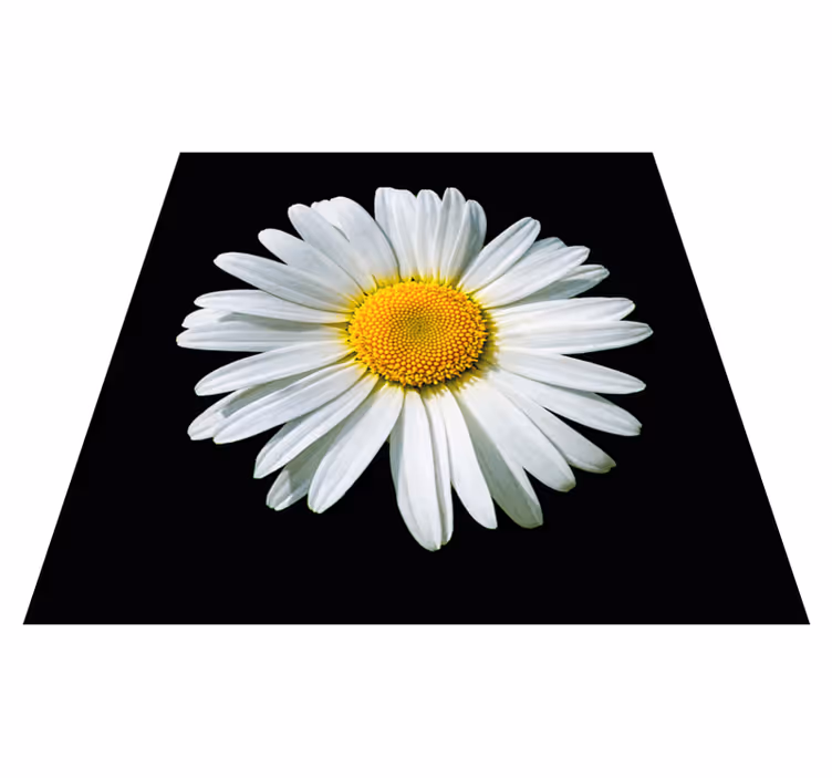 tapis vinyle salon Fleur de marguerite noir et blanc - TenStickers