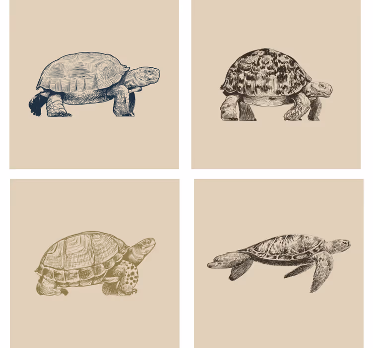 Papier peint vintage tortues sur fond beige - TenStickers