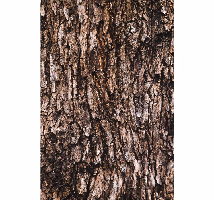 Papier peint chambre adulte Écorce d'arbre réaliste - TenStickers