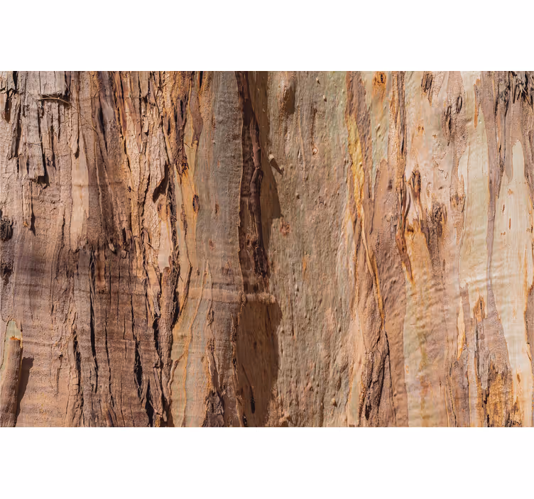 Papier peint rustique texture écorce d'arbre marron - TenStickers