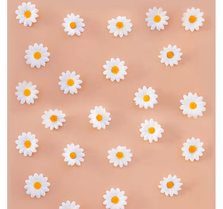 Papier peint à fleurs deco marguerite moderne - TenStickers