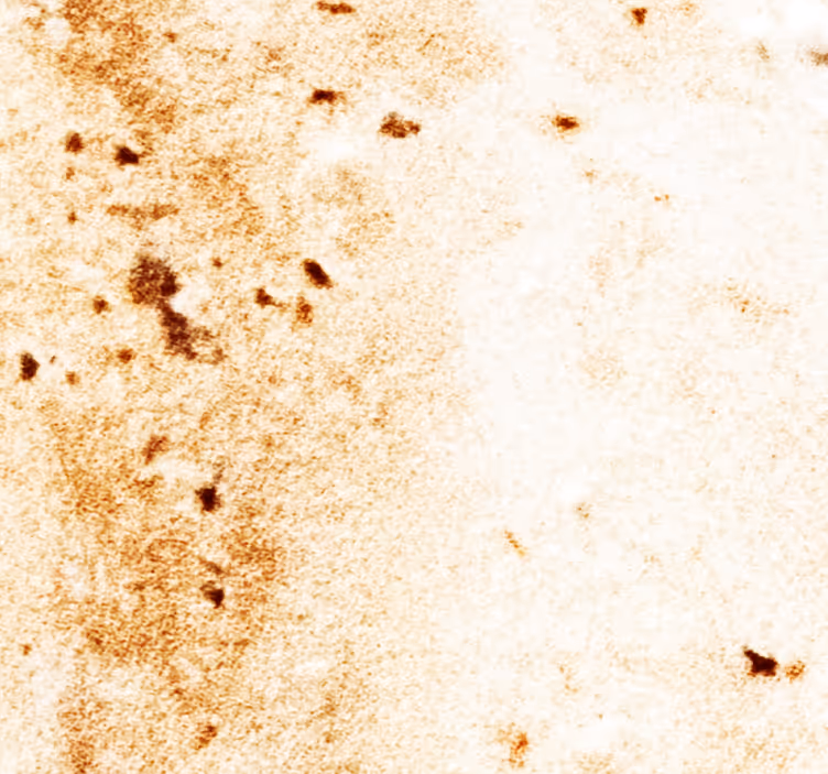 Papier peint marbre esthétique de la pierre naturelle - TenStickers
