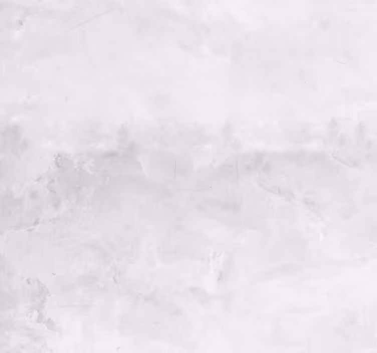 Papier peint brique Vieux mur blanc - TenStickers