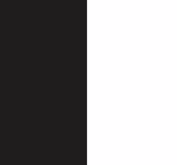 Papier peint ligne verticale Noir et blanc - TenStickers