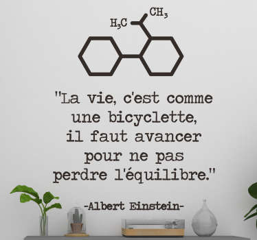 Sticker Citation Vie Albert Einstein
